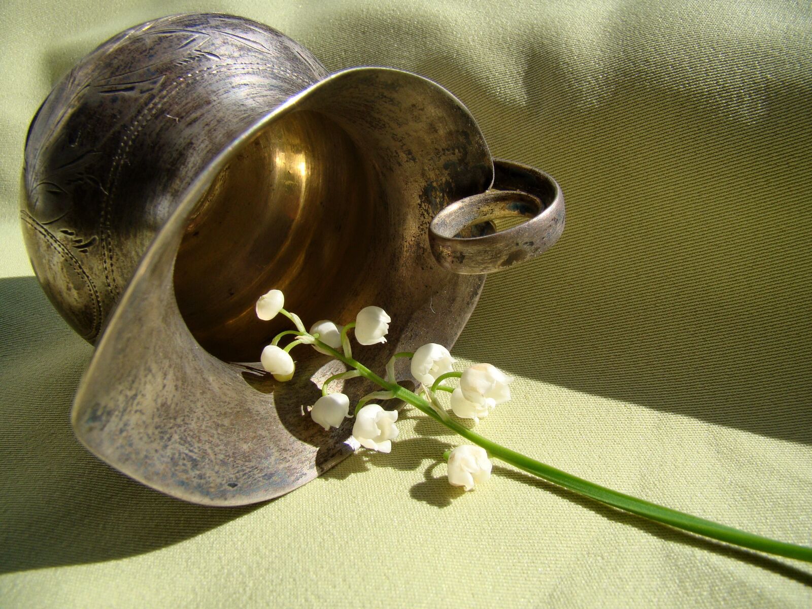 Sony Cyber-shot DSC-H50 sample photo. Flowers, lily of the photography