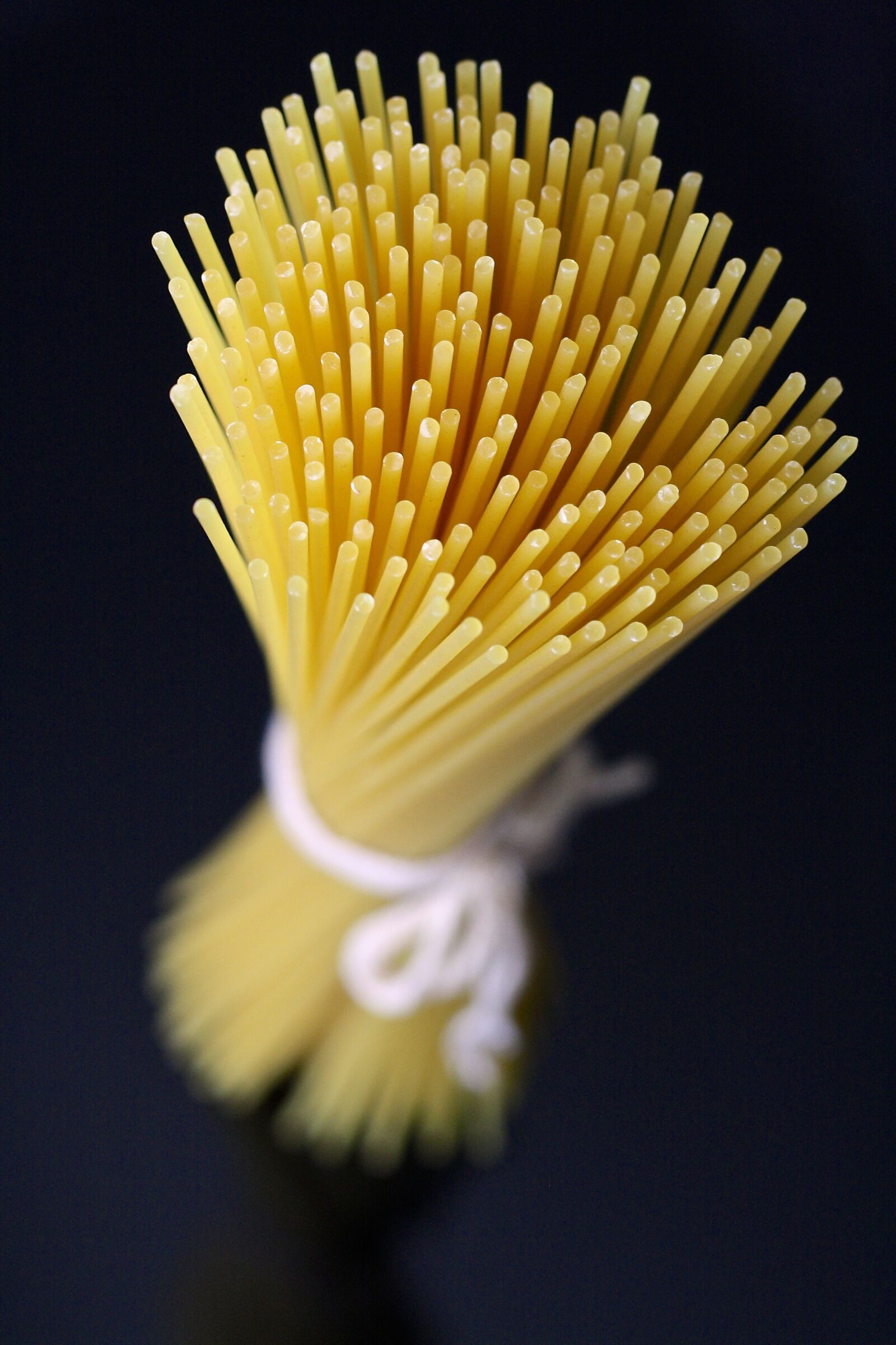 Canon EOS 1000D (EOS Digital Rebel XS / EOS Kiss F) sample photo. Pasta, spaghetti, raw photography