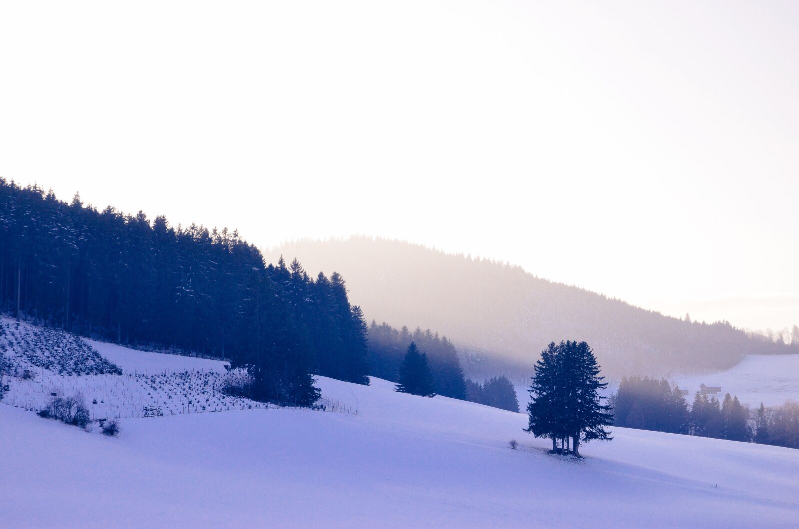 Nikon D5100 sample photo. Mountains, trees, hills photography