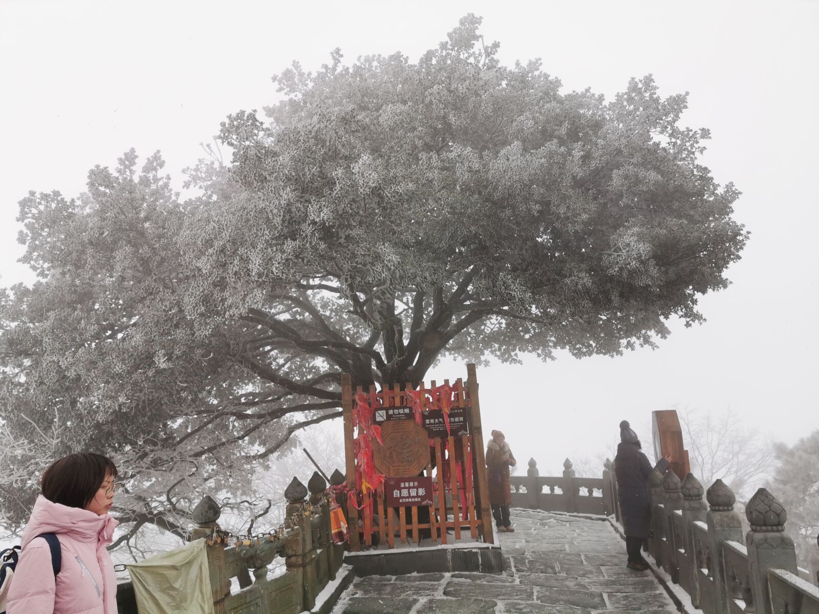 HUAWEI P30 Pro sample photo. Wudang, snow, pine tree photography