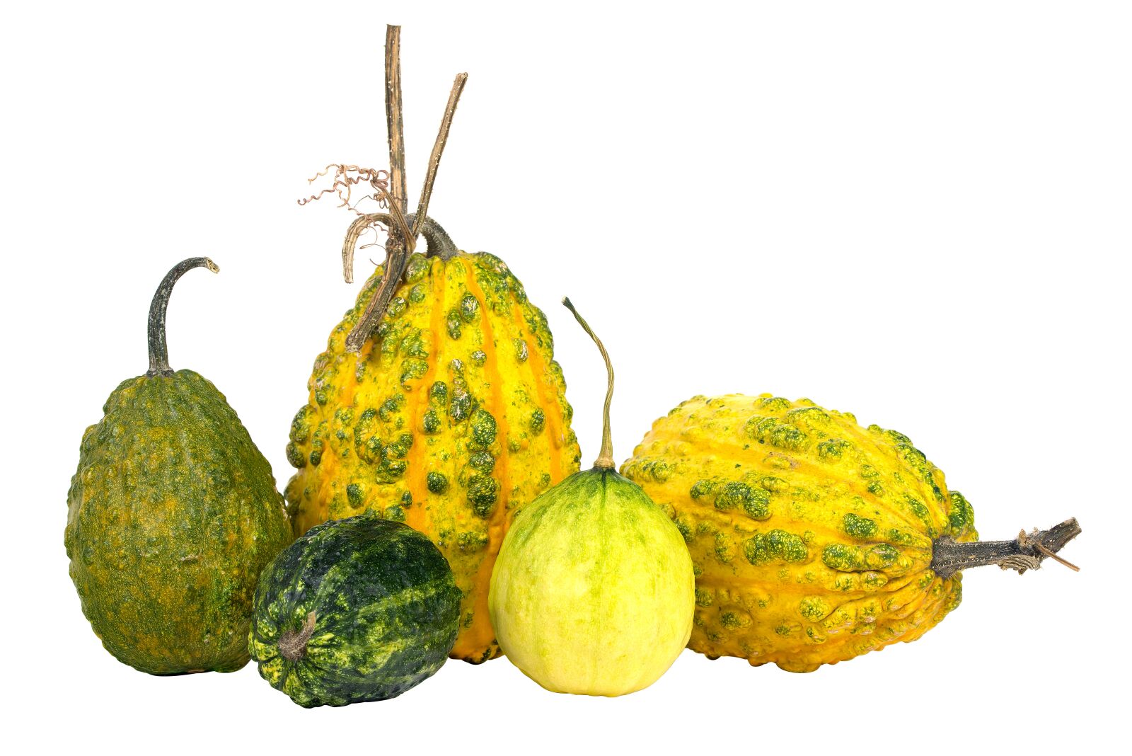 Nikon D800 sample photo. Pumpkin, white background, isolate photography