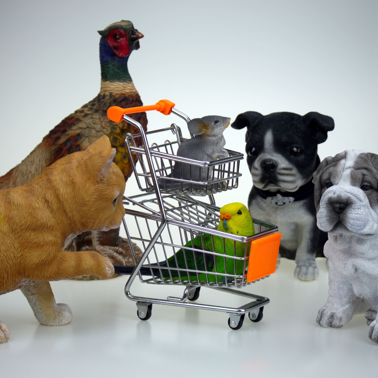 Panasonic Lumix DMC-G5 sample photo. Shopping, shop, animals photography