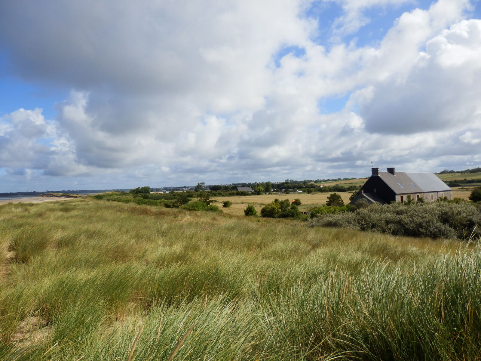 Olympus SZ-31MR sample photo. Normandy, nature, france photography
