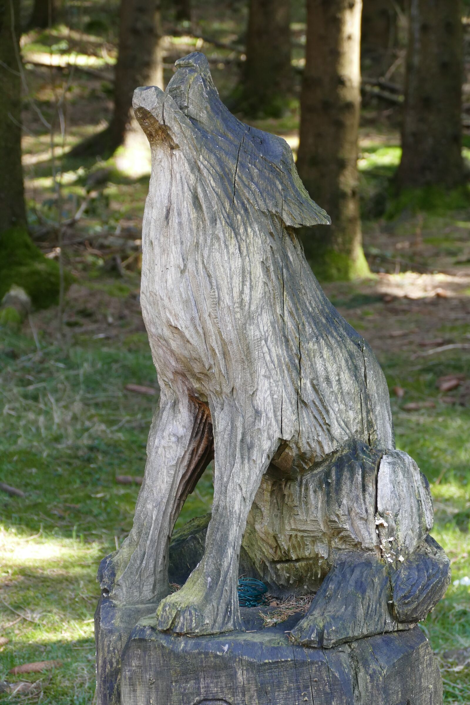 Panasonic Lumix DMC-FZ1000 sample photo. Carved figure, idyllic, forest photography