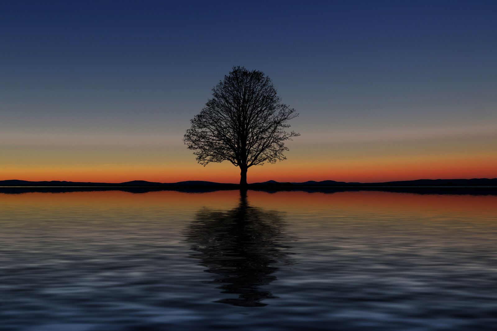 Canon EOS 600D (Rebel EOS T3i / EOS Kiss X5) sample photo. Tree, lake, reflection photography