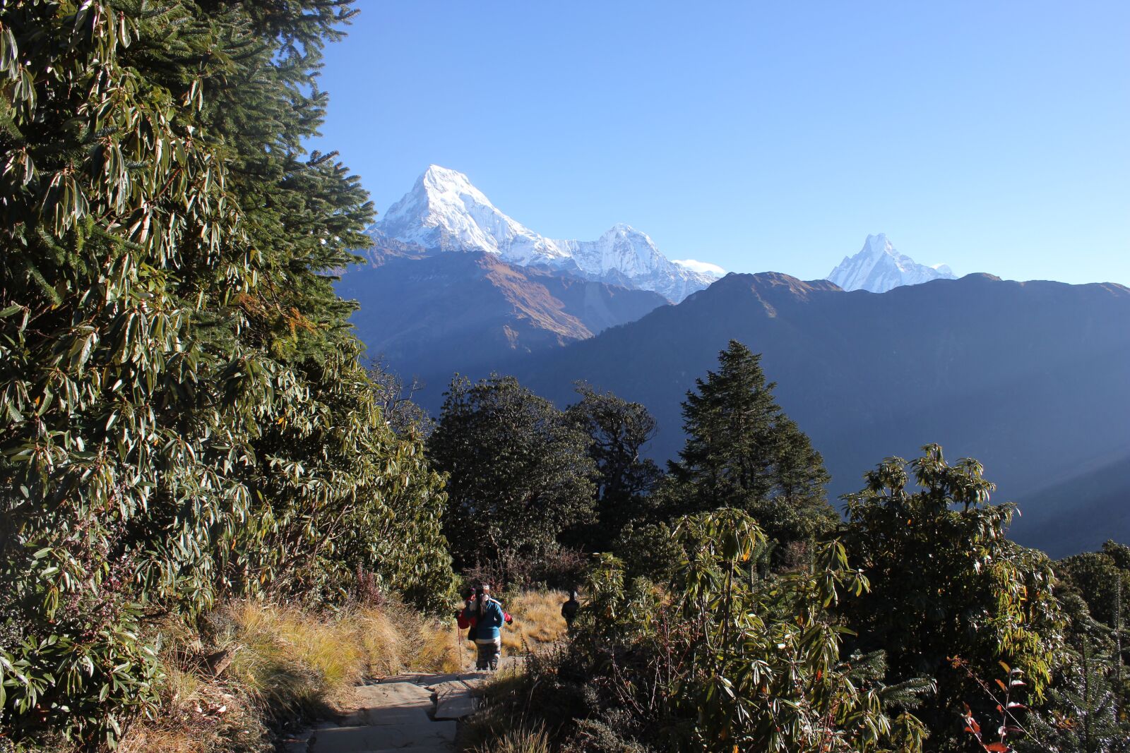 Canon EOS 550D (EOS Rebel T2i / EOS Kiss X4) sample photo. Nepal, himalaya, himalayas photography