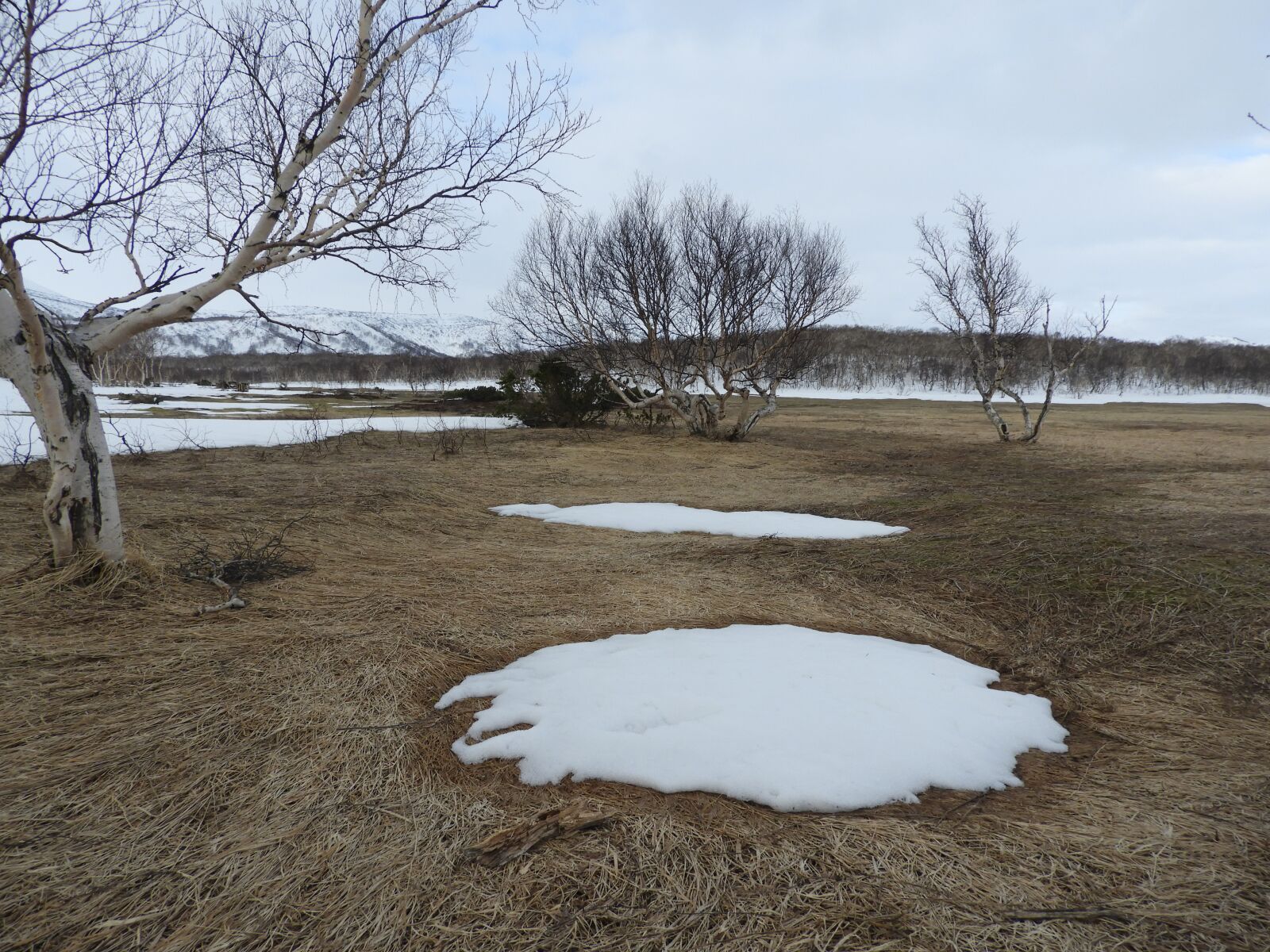 Nikon Coolpix B700 sample photo. Spring, glade, snow photography