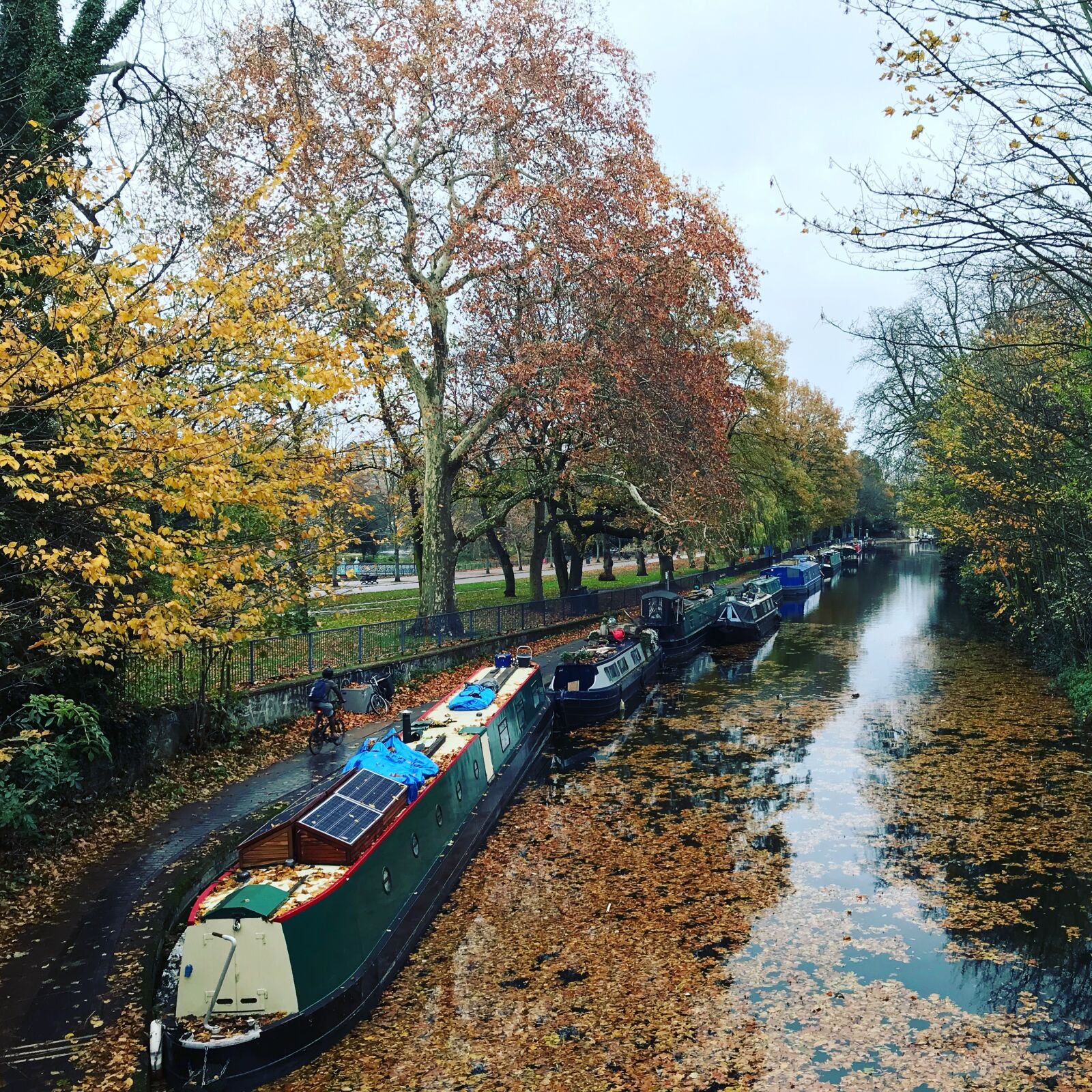iPhone 7 Plus back dual camera 3.99mm f/1.8 sample photo. Canal, regent's canal, autumn photography