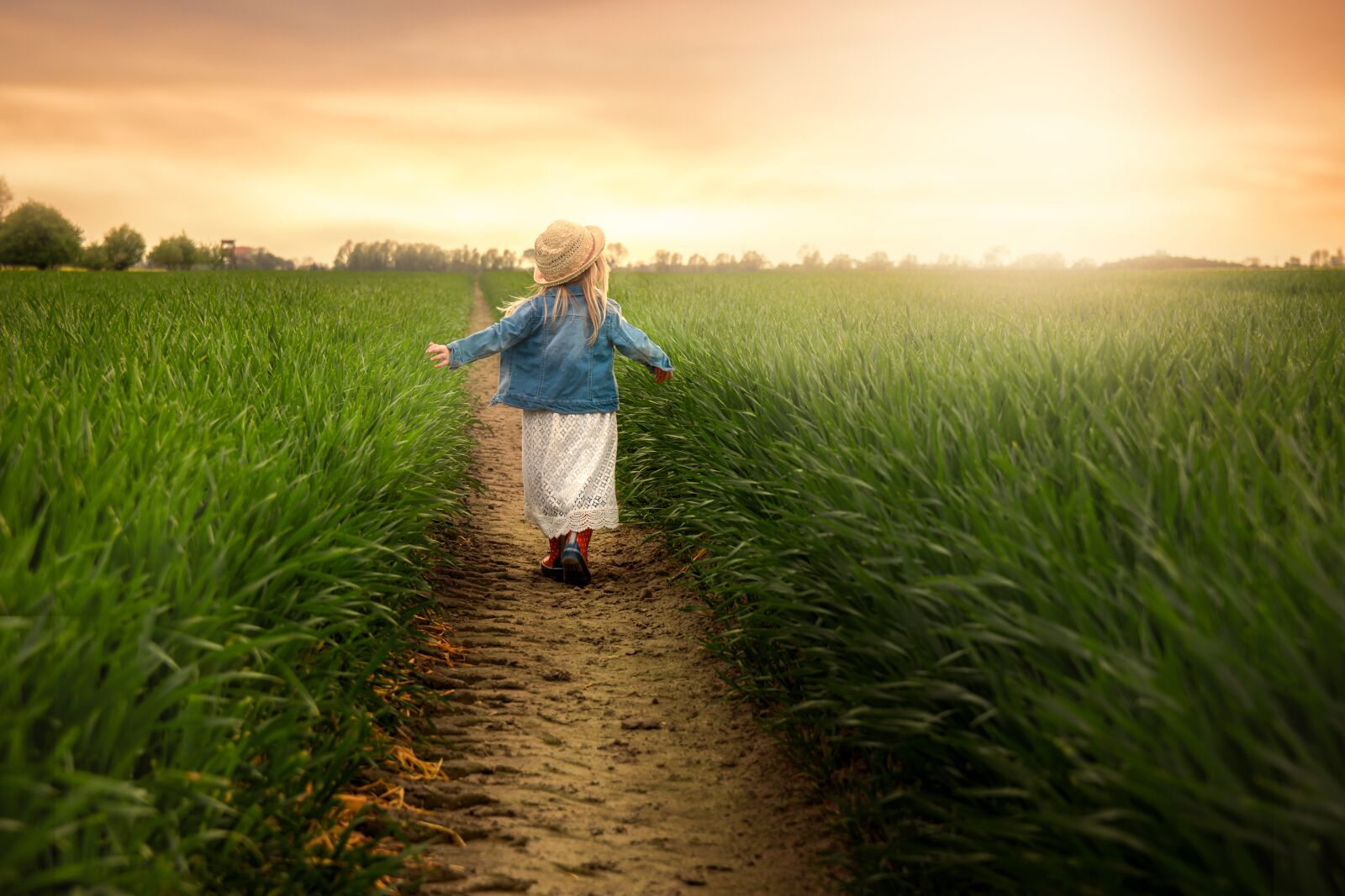 Nikon D7200 sample photo. Child, field sun, playful photography