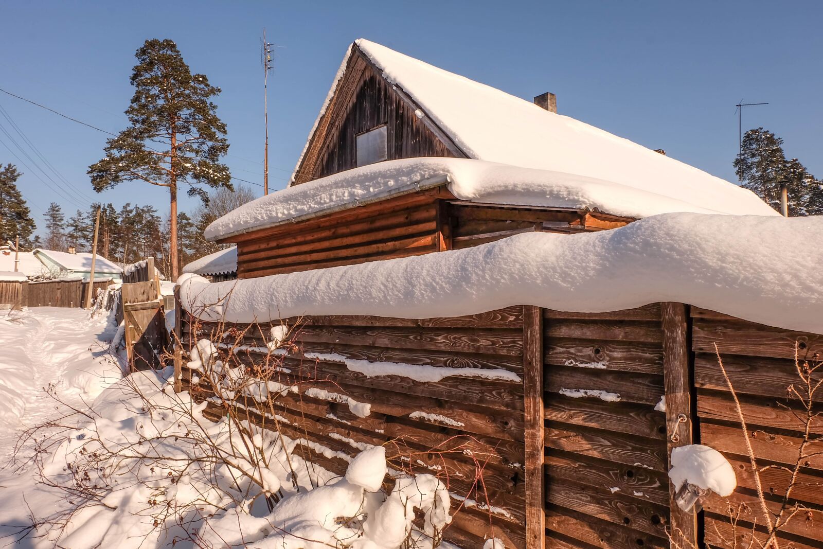 Fujifilm X-A2 + Fujifilm XC 16-50mm F3.5-5.6 OIS II sample photo. Winter, michurinskiy, beauty photography