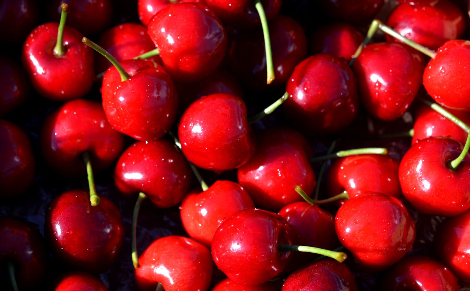 Nikon D7000 sample photo. Cherry, cherries, red photography