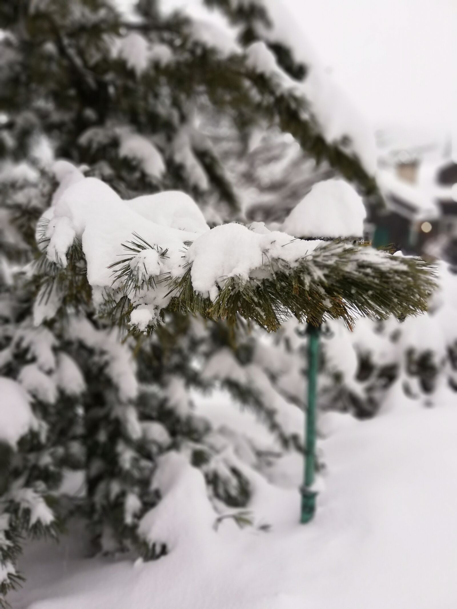 HUAWEI P20 lite sample photo. Winter, cold, snow photography