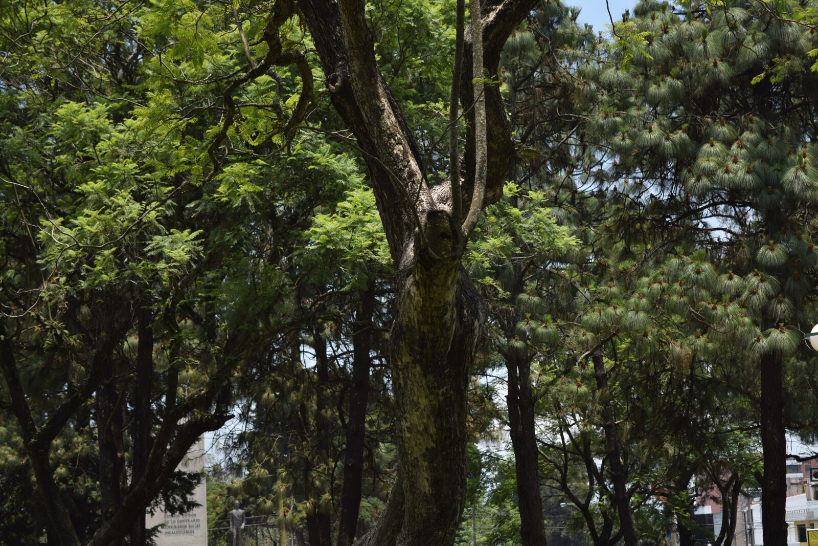 Nikon D3300 sample photo