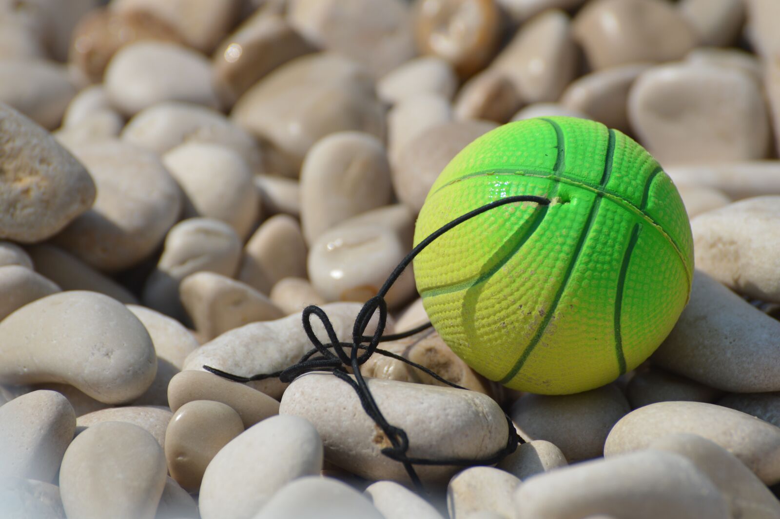 Nikon D3200 sample photo. Ball, pebble beach, toy photography