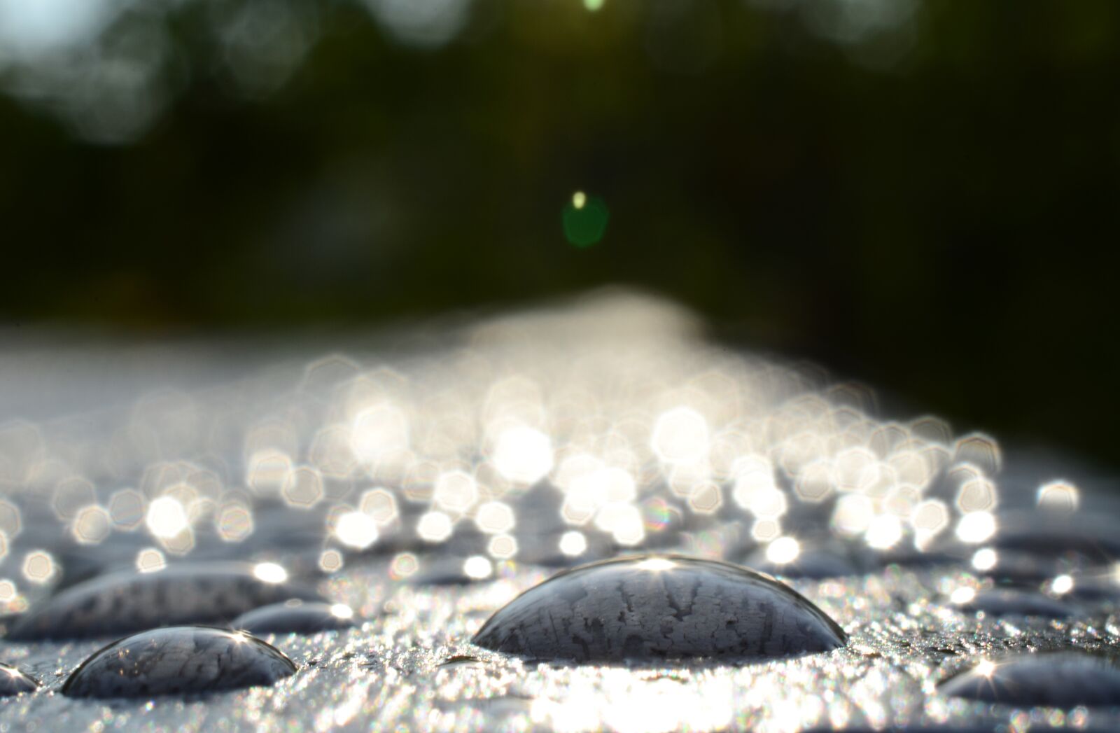 Nikon D5100 sample photo. Bokeh, water drops, macro photography
