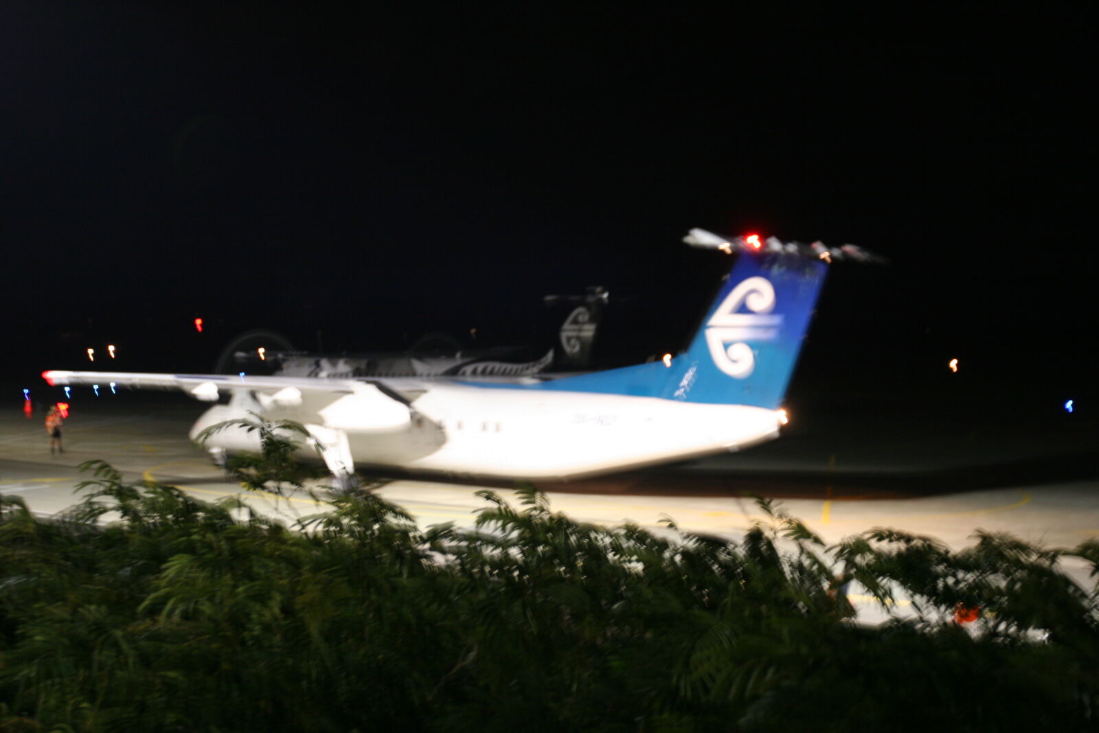 Canon EOS 20D sample photo. Air, new, zealand, airplane photography