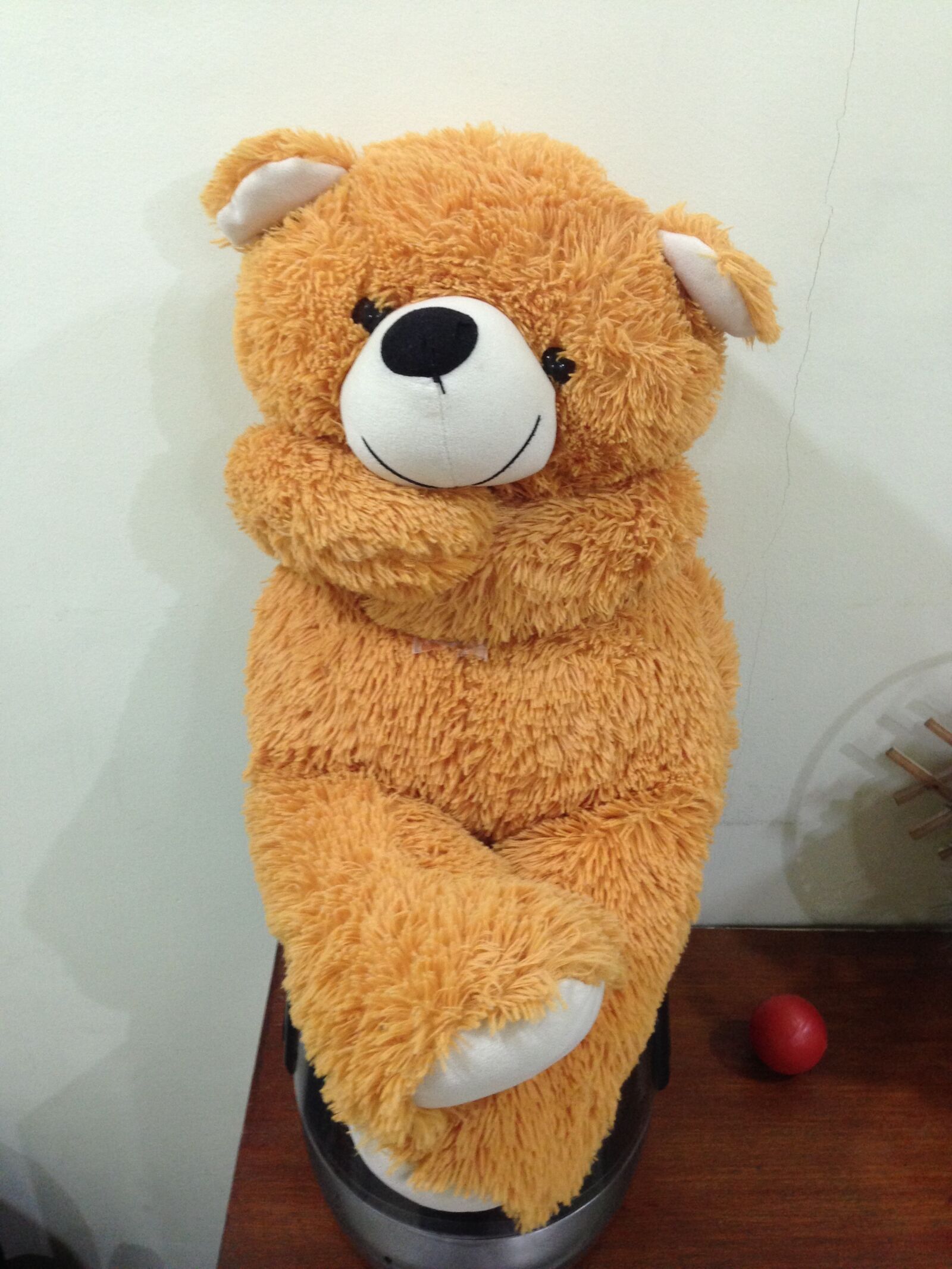 iPhone 5 back camera 4.12mm f/2.4 sample photo. Soft toy, teddy, bear photography