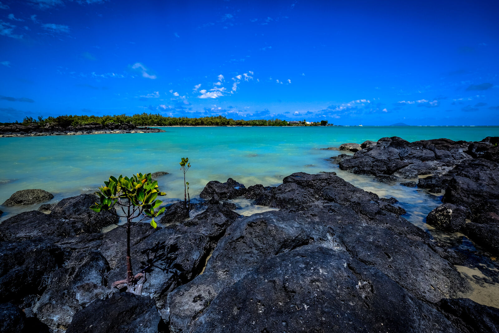 Fujifilm XF 10-24mm F4 R OIS sample photo. Beach, daylight, island, landscape photography