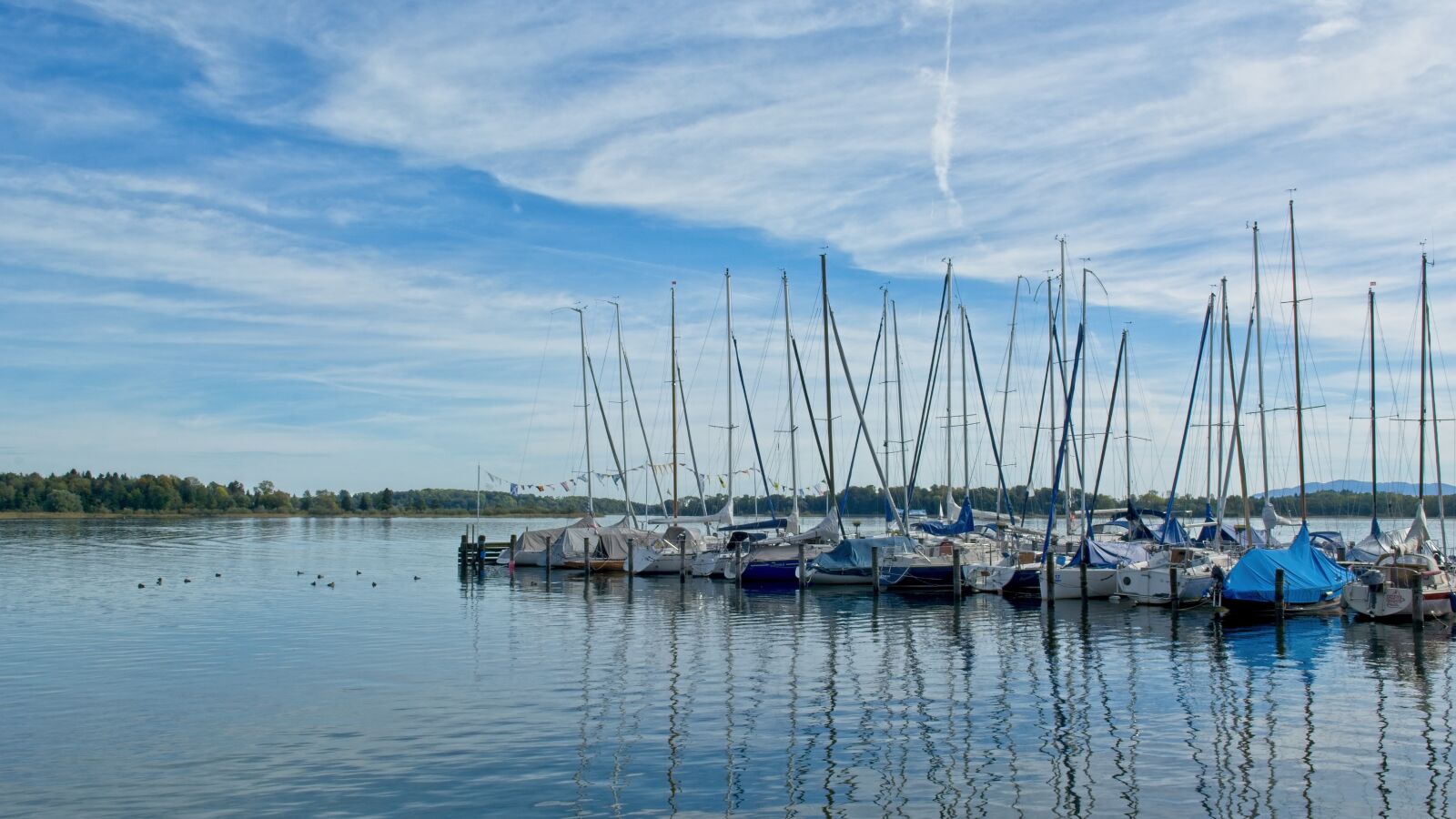 Nikon D7100 sample photo. Pier, port sailing boats photography