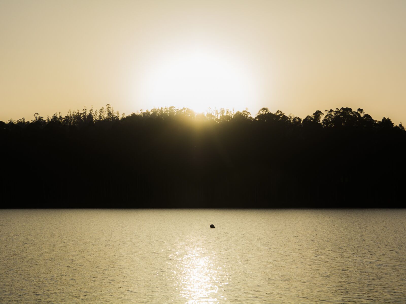 Nikon D7100 sample photo. Sun, marsh, water photography
