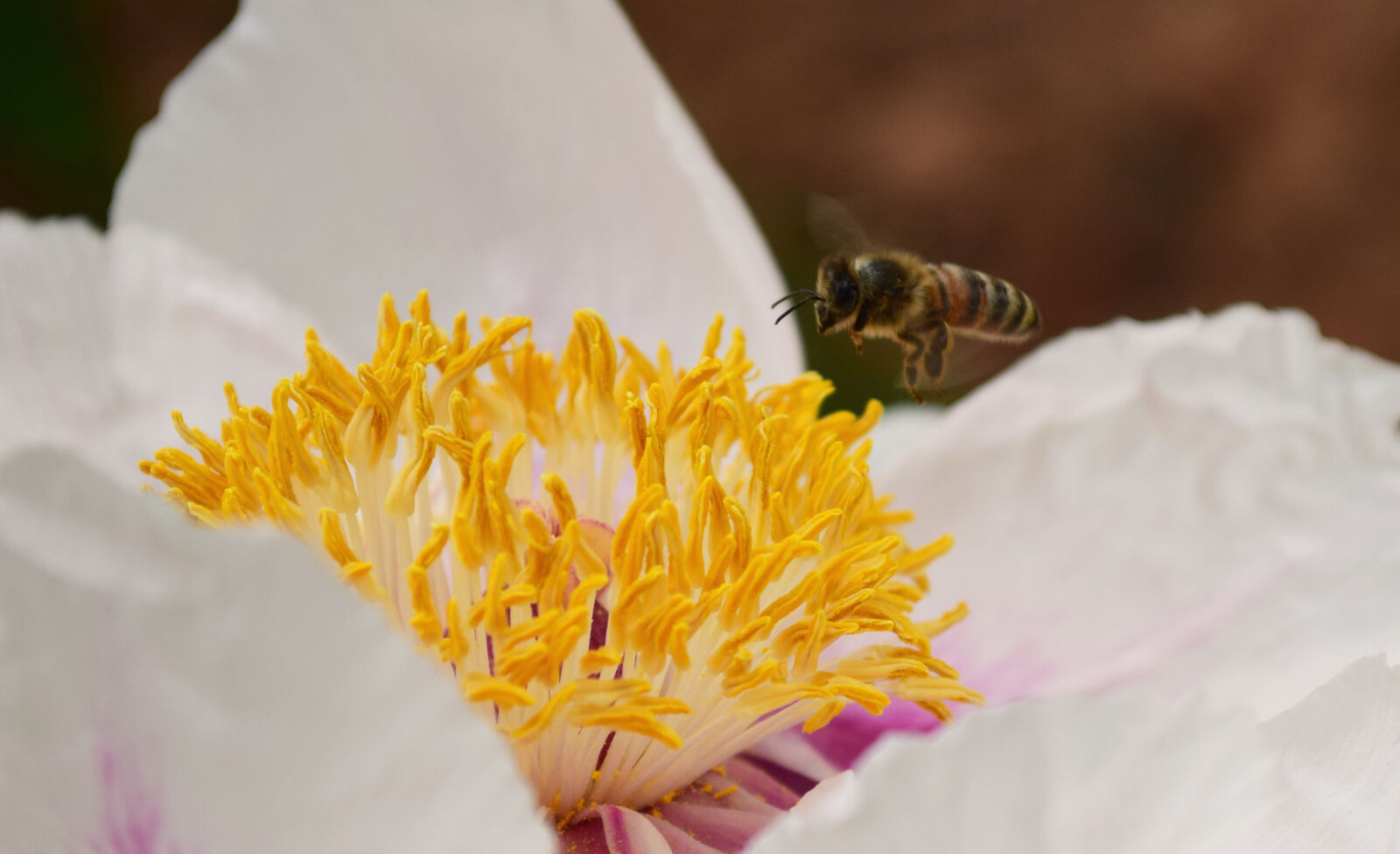 Nikon D5300 sample photo