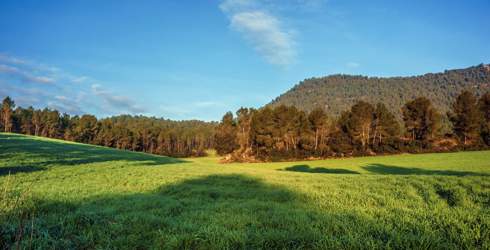 Sony E 16-50mm F3.5-5.6 PZ OSS sample photo. Lawn, nature, landscape photography