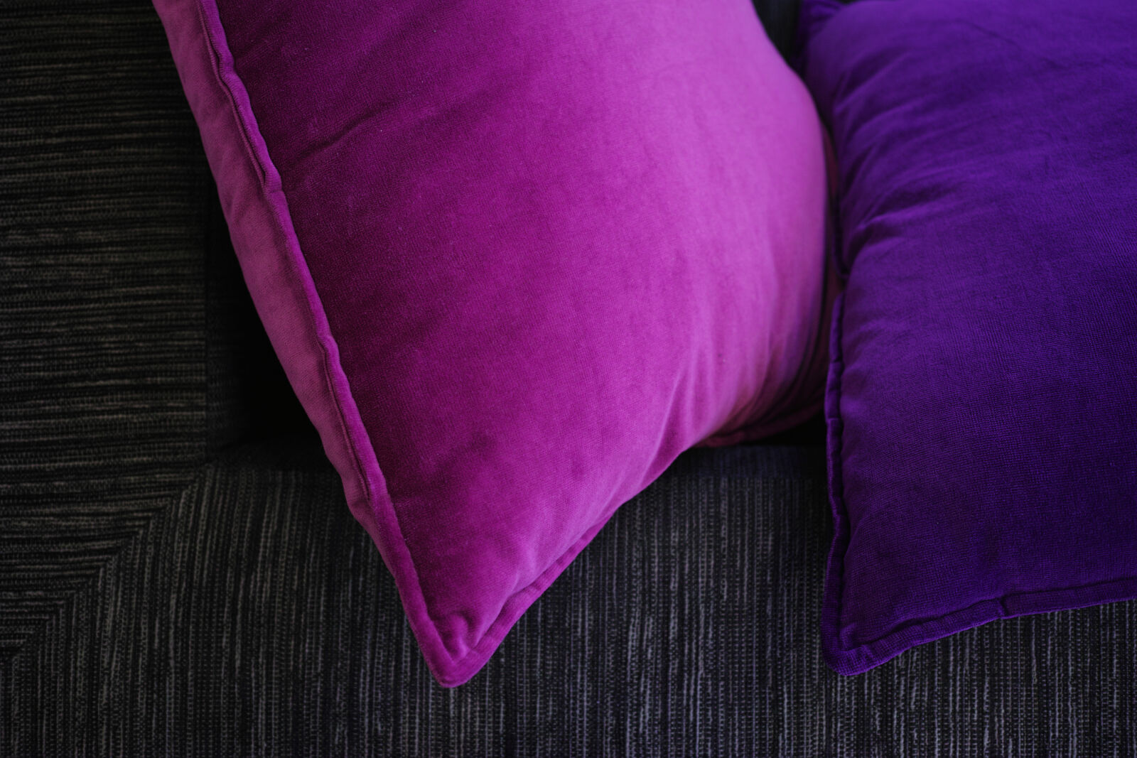 Sigma 30mm F2.8 sample photo. Pillow under the power photography