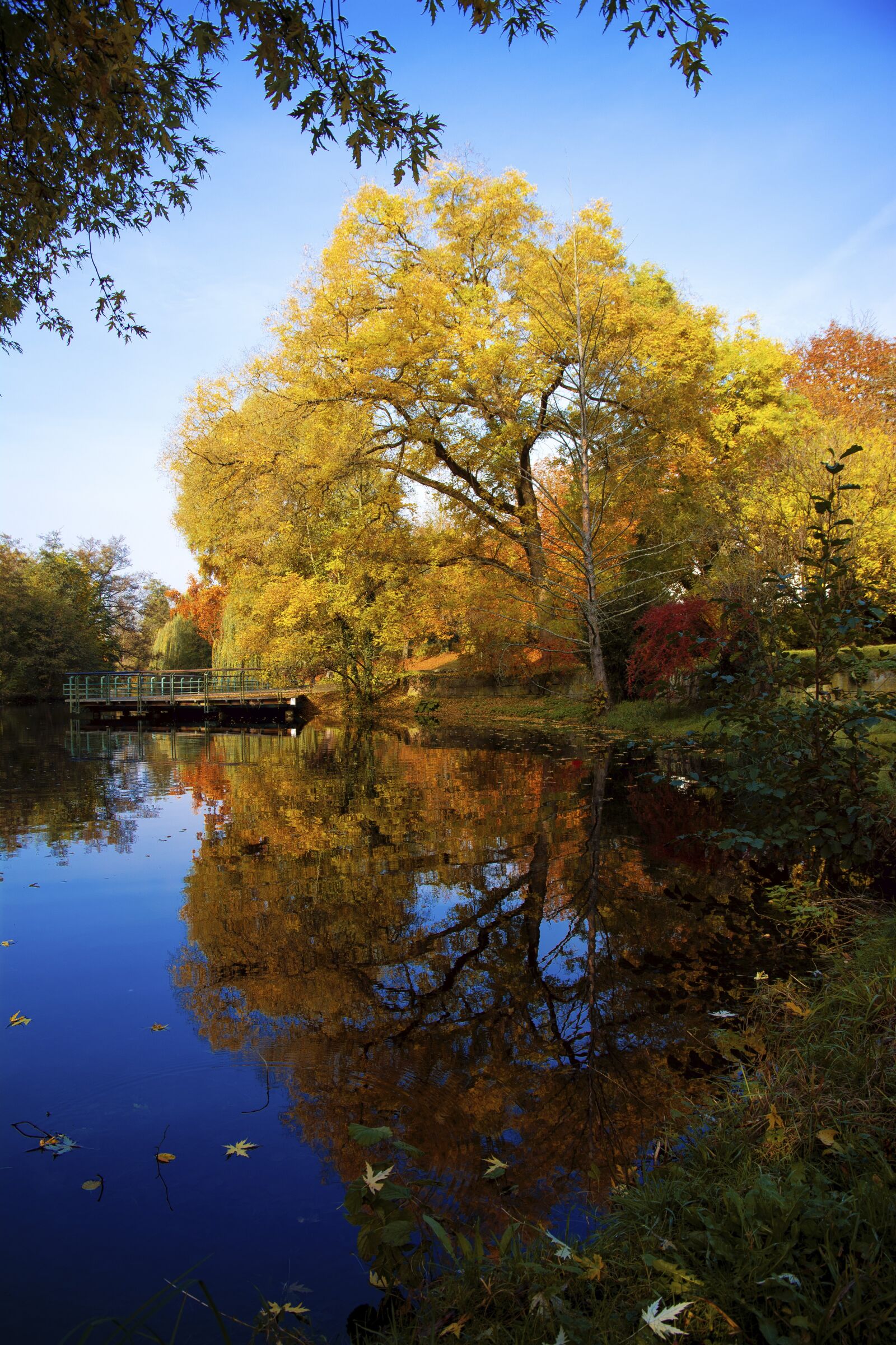 Nikon D7100 sample photo. Autumn, heilbronn, pfühlpark photography