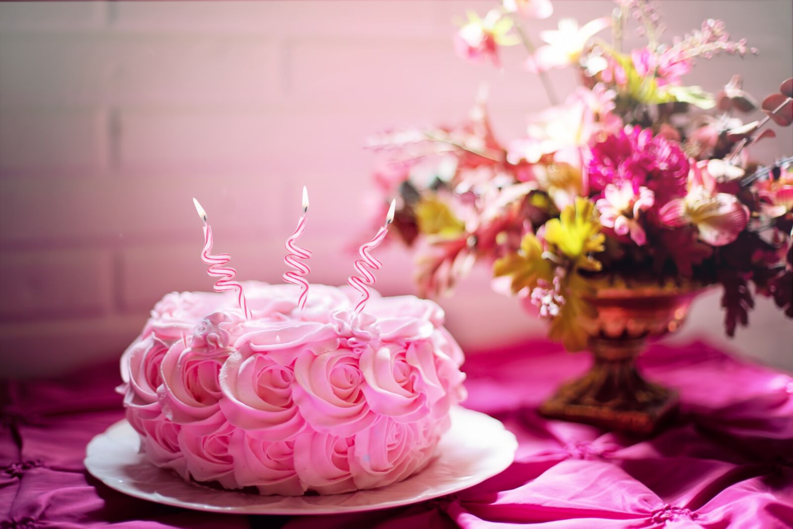 Canon EF 50mm F1.4 USM sample photo. Anniversary, beautiful, birthday, birthday photography