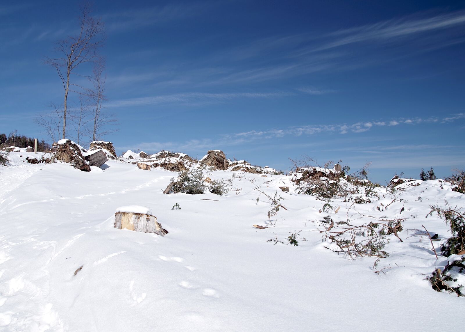 Pentax K-S2 sample photo. Snow, winter, cold photography