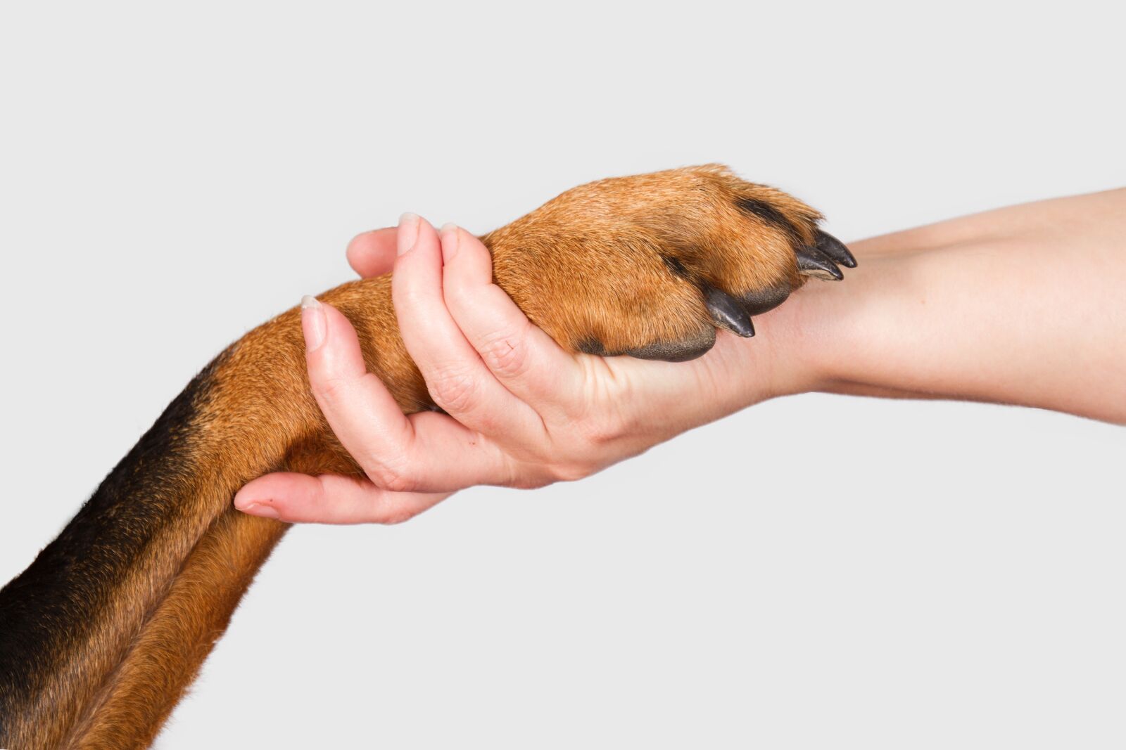 Canon EOS 7D sample photo. Hand, isolated, human photography