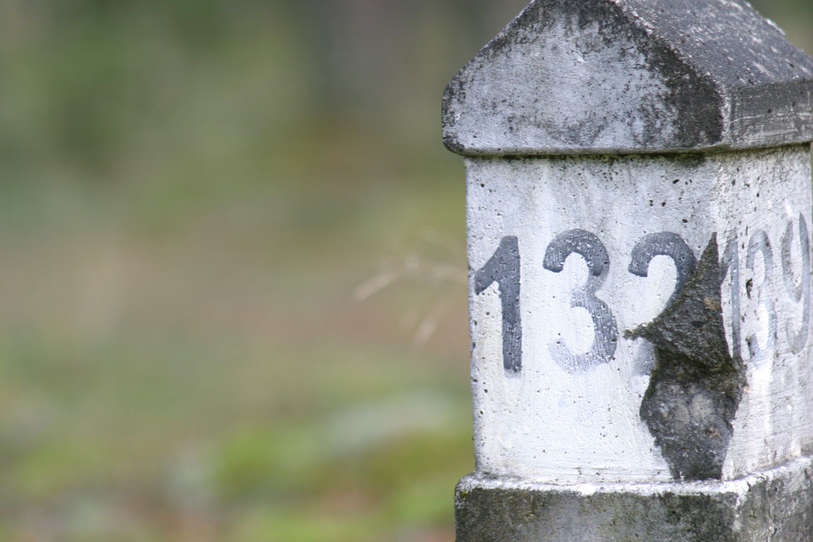 Canon EOS 10D sample photo