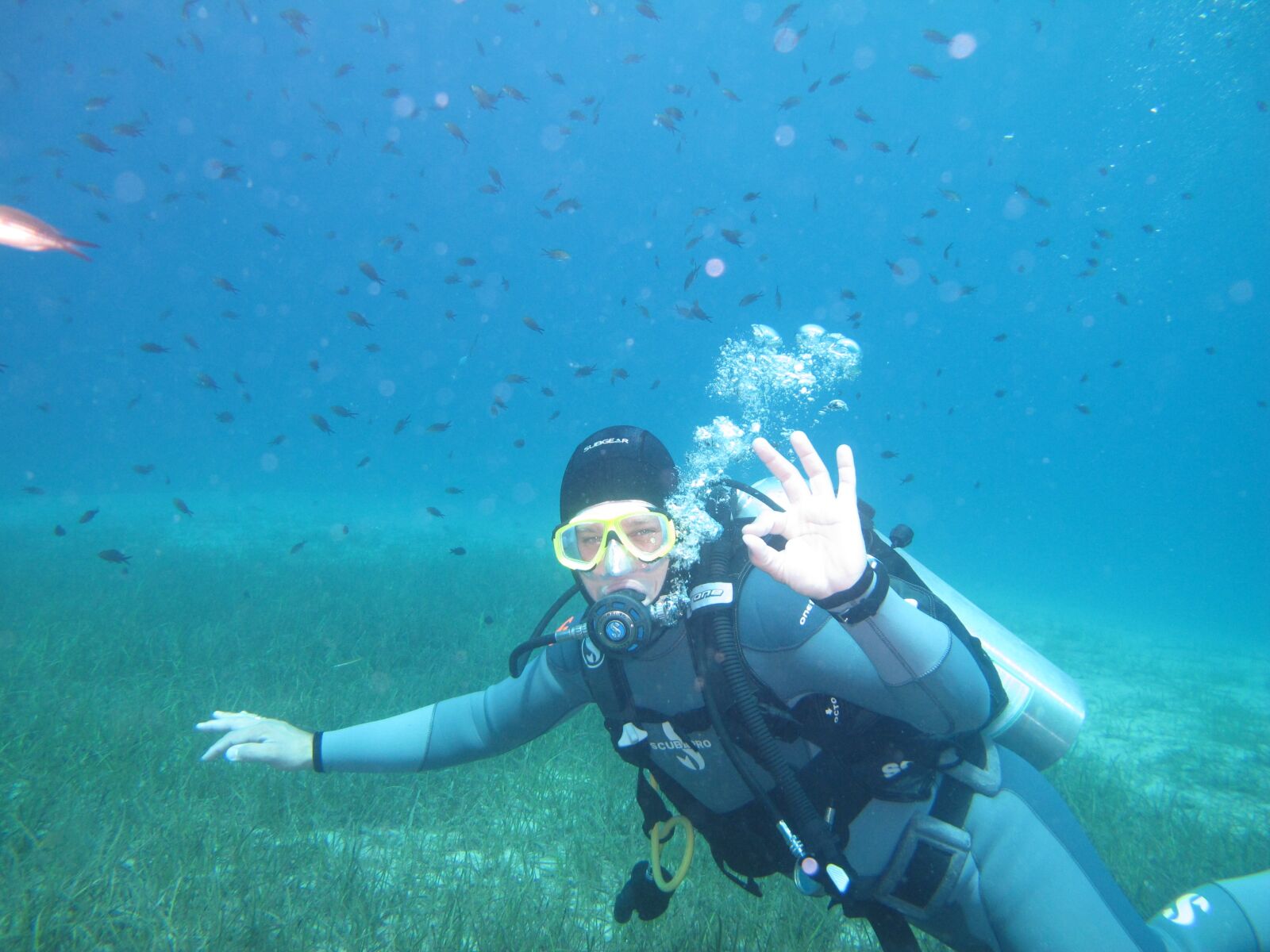 Canon PowerShot G12 sample photo. Diving, ocean, underwater photography