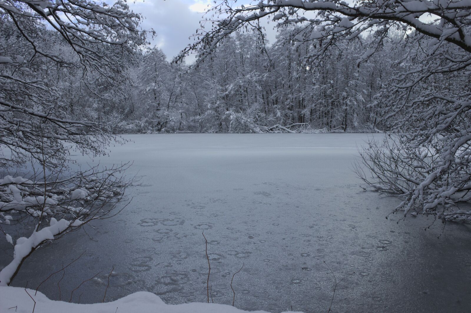 Canon EOS 600D (Rebel EOS T3i / EOS Kiss X5) sample photo. Winter, ice, pond photography
