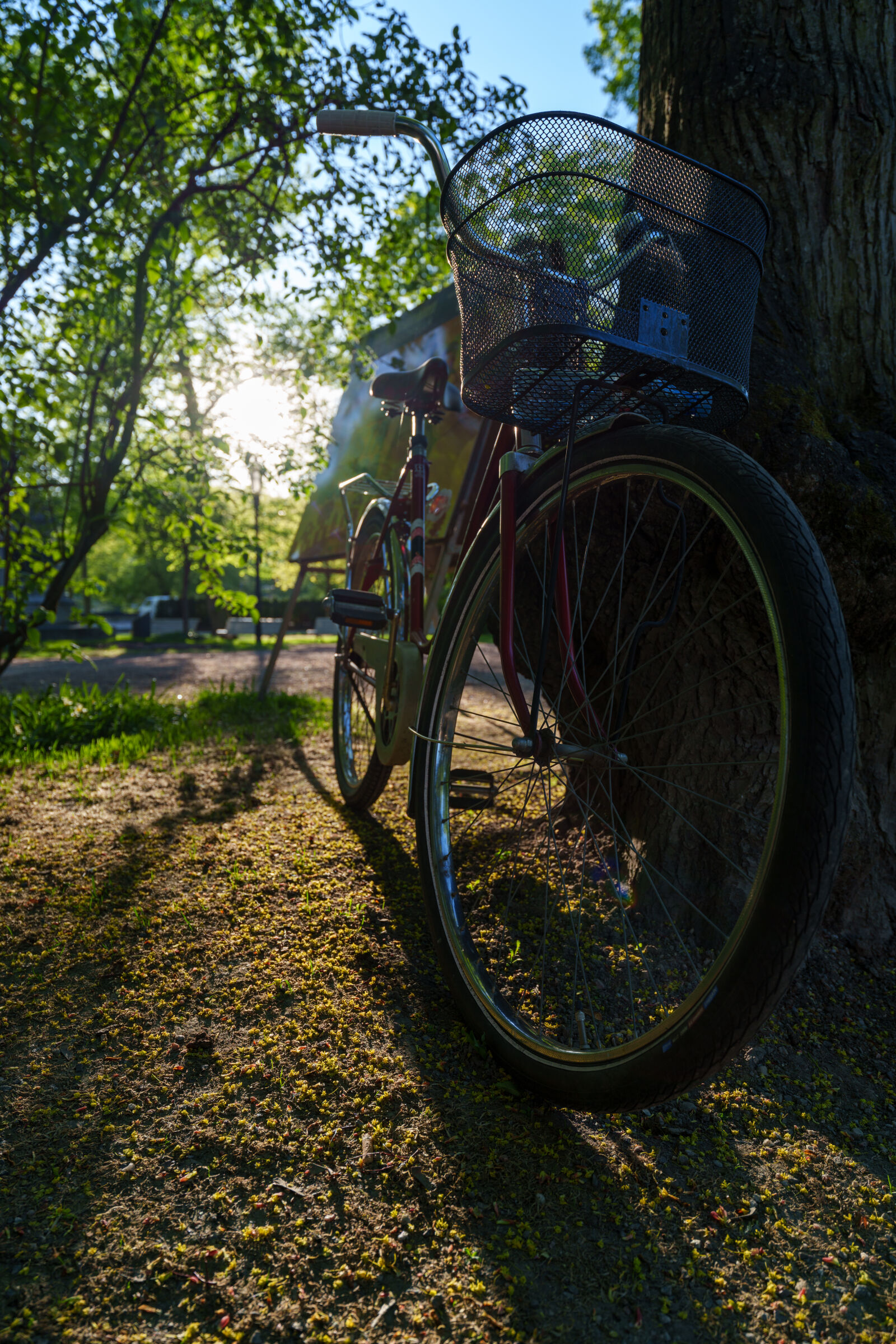Sony a7R V sample photo. Sunshine bicycle photography
