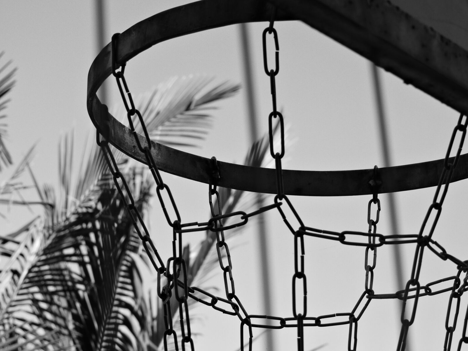 Nikon Coolpix P600 sample photo. Basket, basketball, sport photography