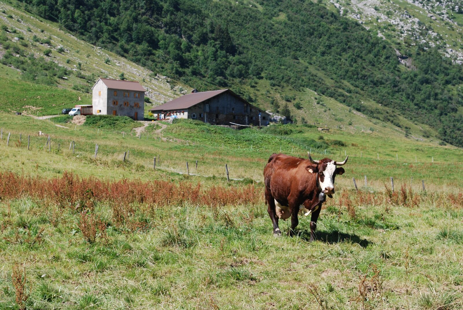 Nikon D60 sample photo. Alps, hiking, holiday photography