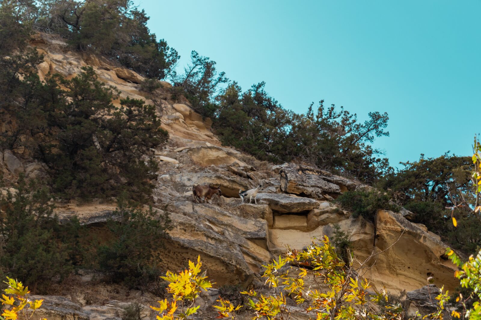 Canon EOS 200D (EOS Rebel SL2 / EOS Kiss X9) sample photo. Avakas gorge, paphos, cyprus photography