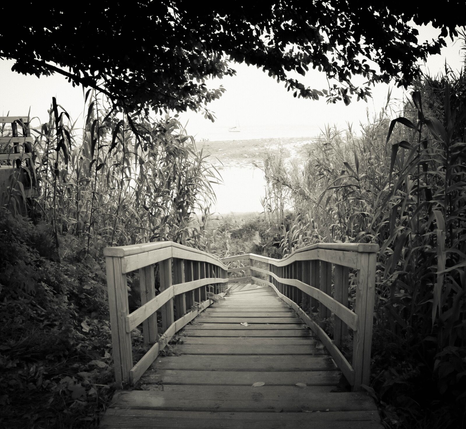 Nikon D5300 sample photo. Bridge, life, black and photography
