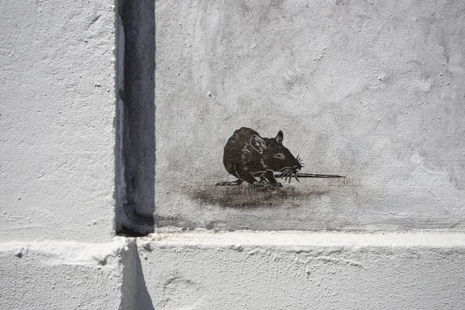 Canon EF 28-80mm f/3.5-5.6 sample photo. Graffiti, subculture, spray photography