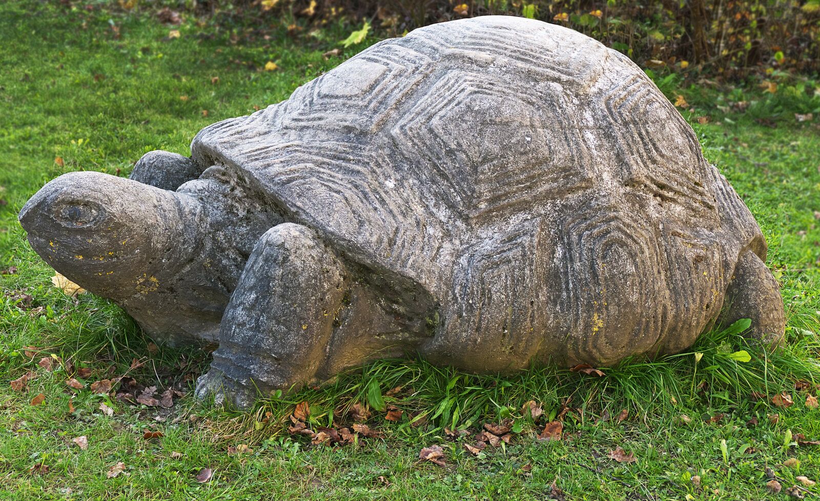 Panasonic Lumix DMC-FZ1000 sample photo. Turtle, stone figure, sculpture photography