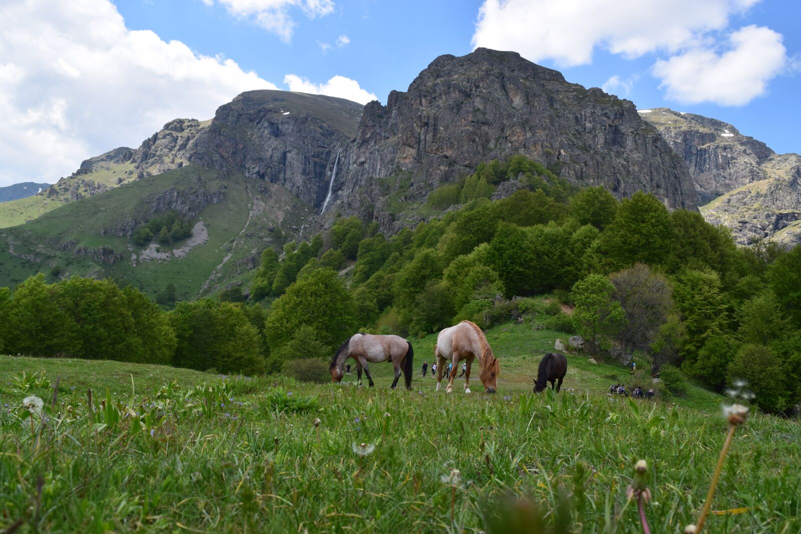 Nikon D5300 sample photo. Horses, mountain, landscape photography