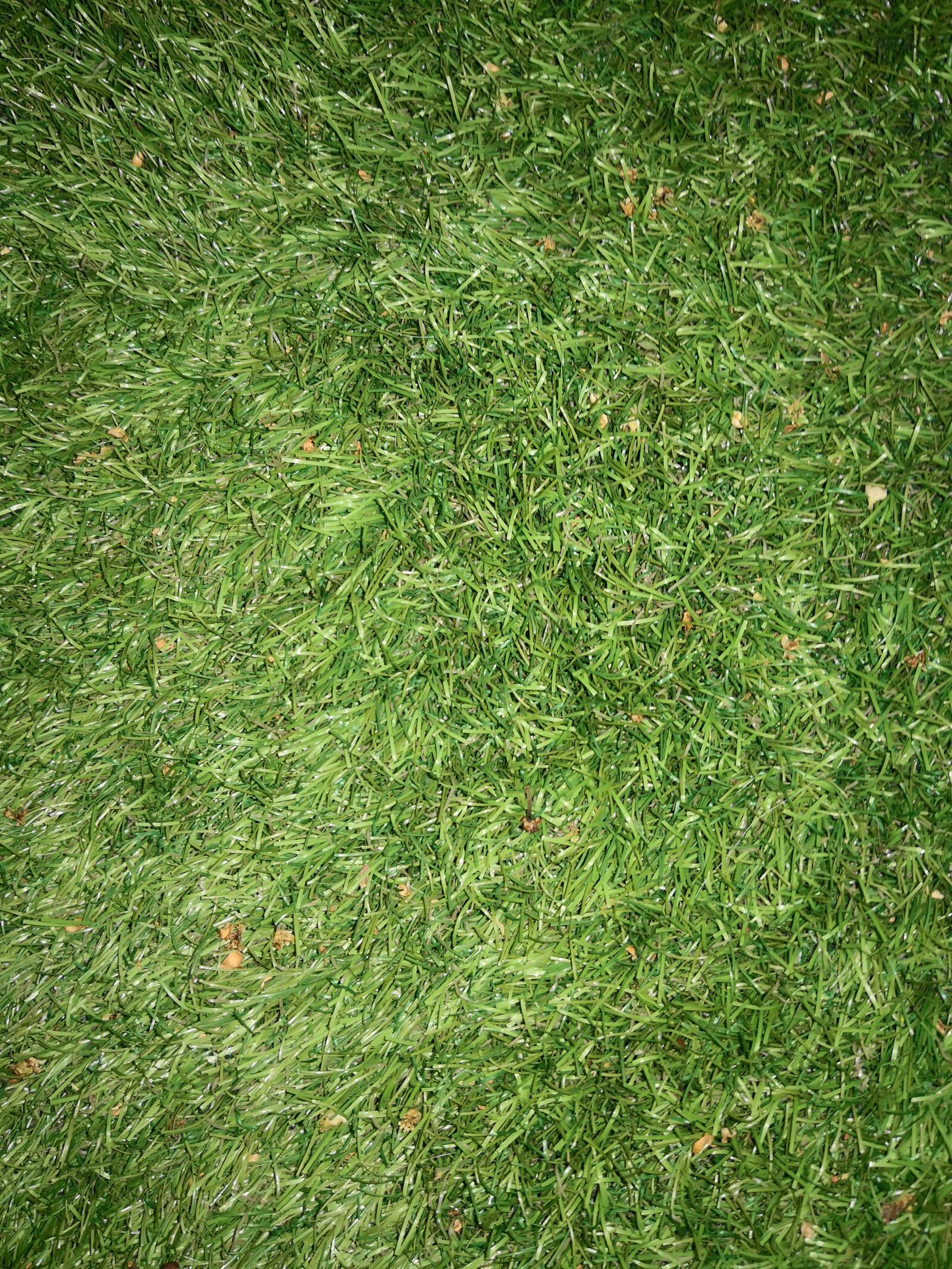 HUAWEI Mate 10 Pro sample photo. Fake grass, plants, turf photography
