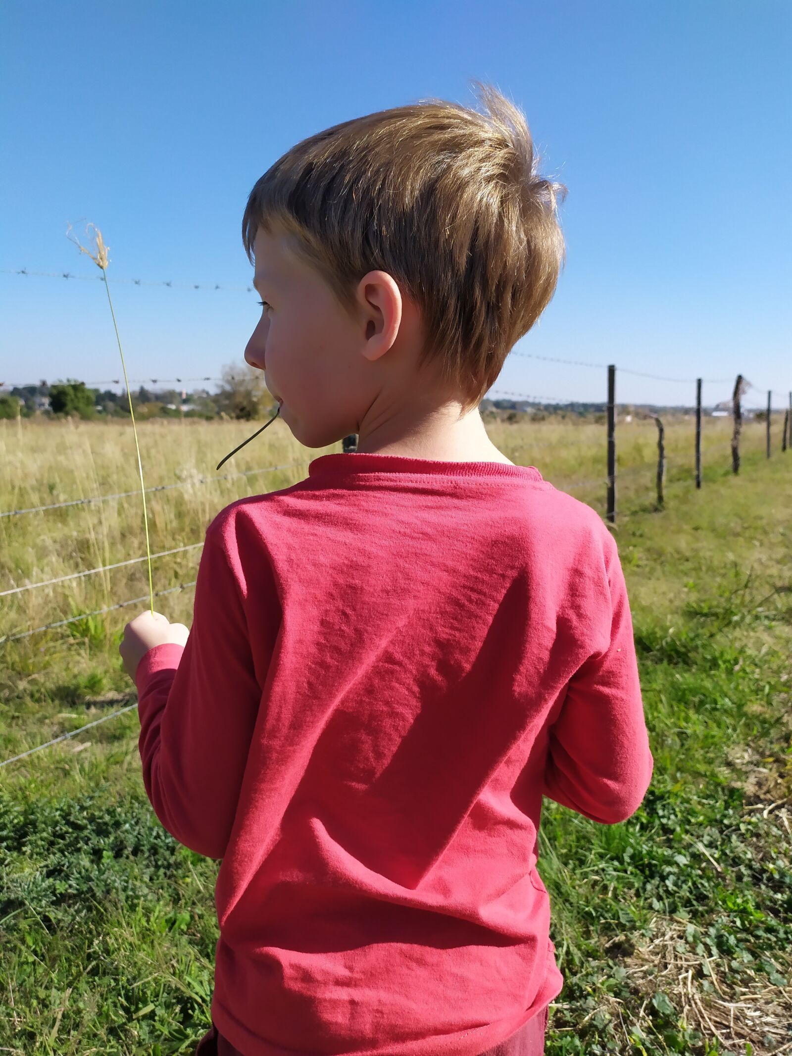 Xiaomi Redmi Note 7 sample photo. Child, field, peaceful photography