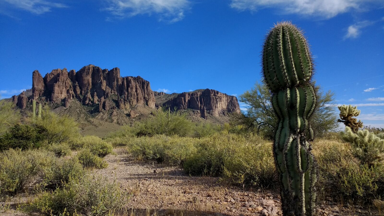 Motorola Moto G (4) sample photo. Superstition mountain, cactus, blue photography