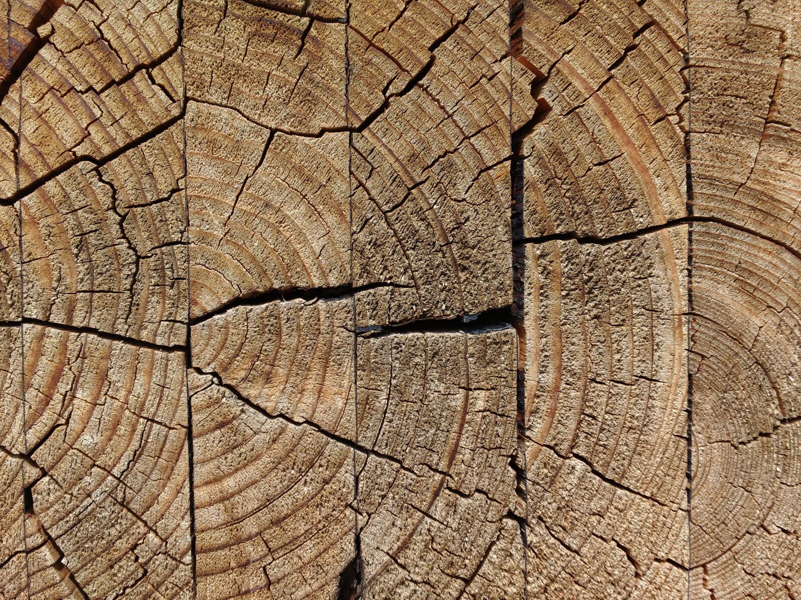 Motorola MotoG3 sample photo. Wood, glued, weathered photography