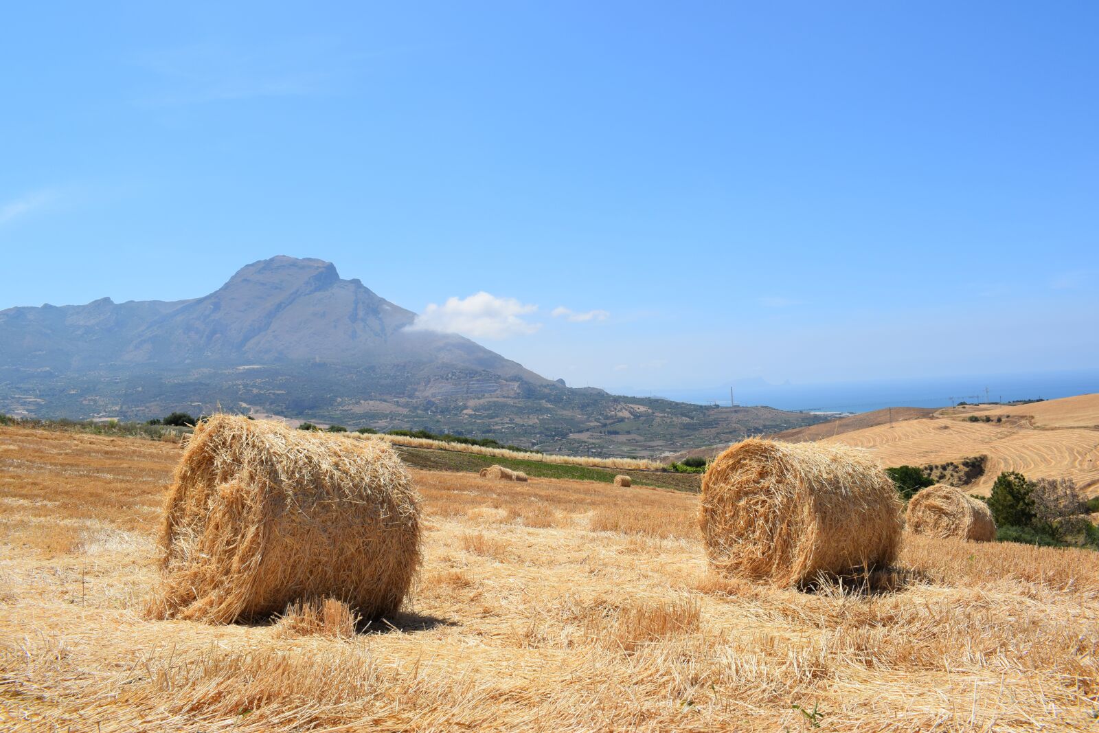 Nikon D3300 sample photo. Nature, outdoors, rural photography