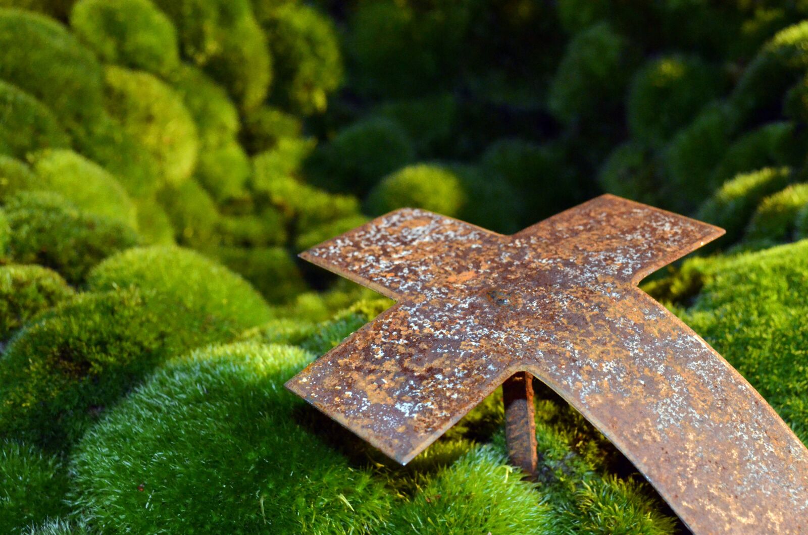 Nikon D5100 sample photo. Mourning, cross, moss photography