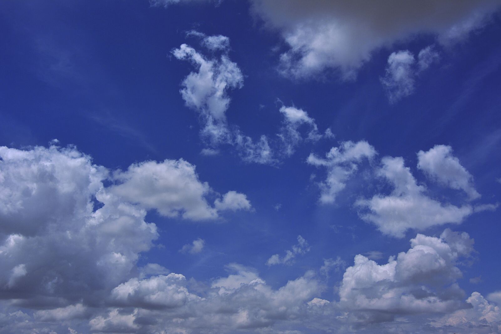 Nikon D7100 sample photo. Fluffy, sky, background photography