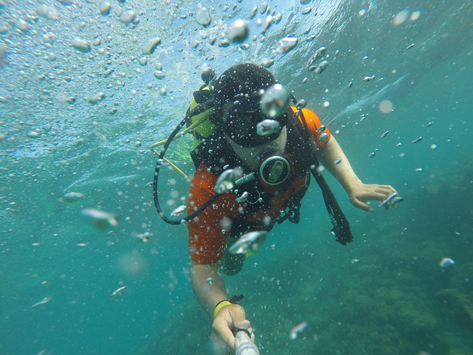 GoPro HERO3+ Black Edition sample photo. Scuba diver, selfie, sea photography